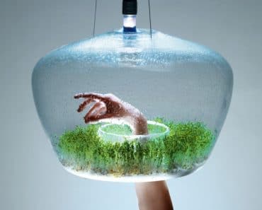 glass-greenhouse-lamp-1