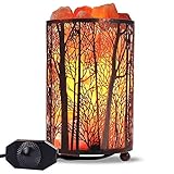 Himalayan Salt Lamp, Salt Rock Lamp Natural Night Light in Forest Design Metal Basket with Dimmer...