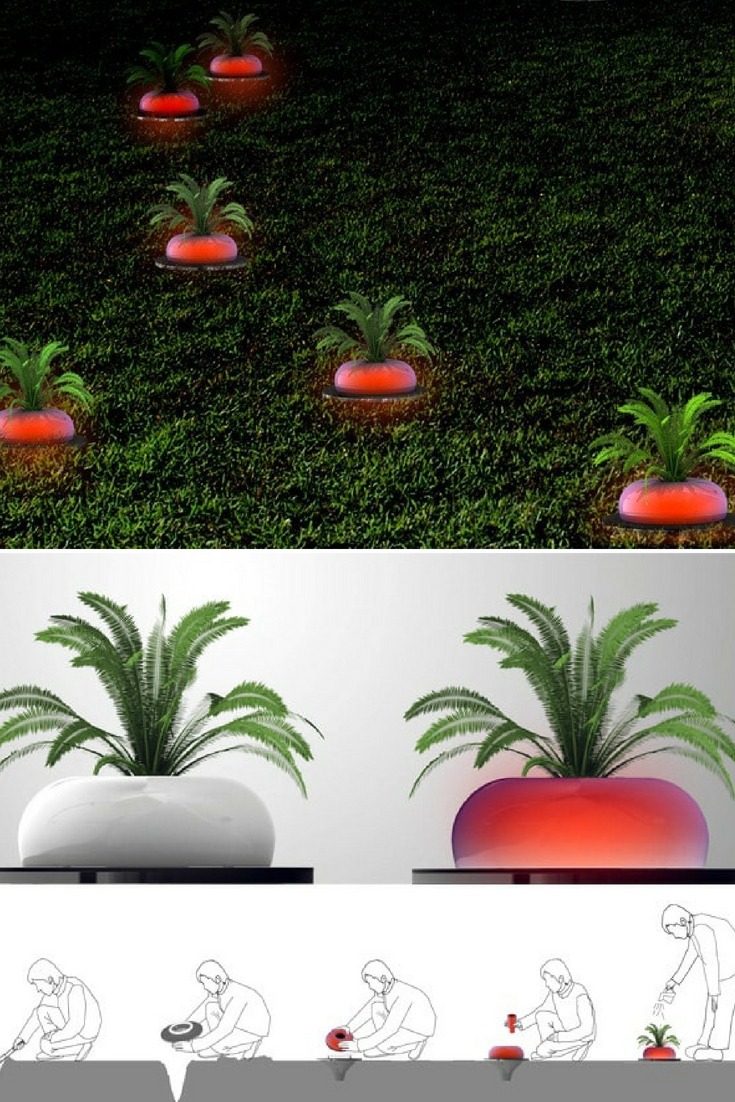 Mario Garden Solar Outdoor Lighting