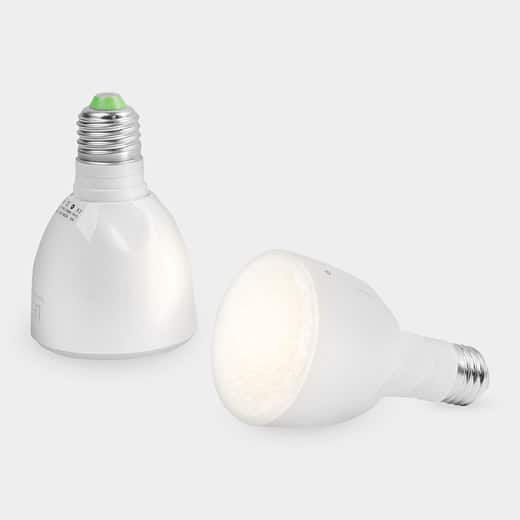 Flashlight Bulb-1