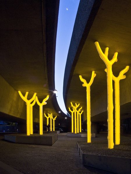 Glowing trees