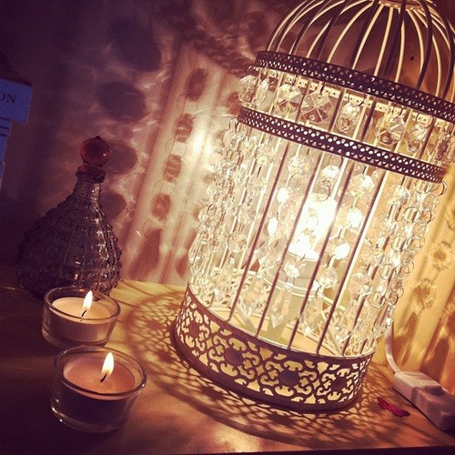 Birdcage Lamp