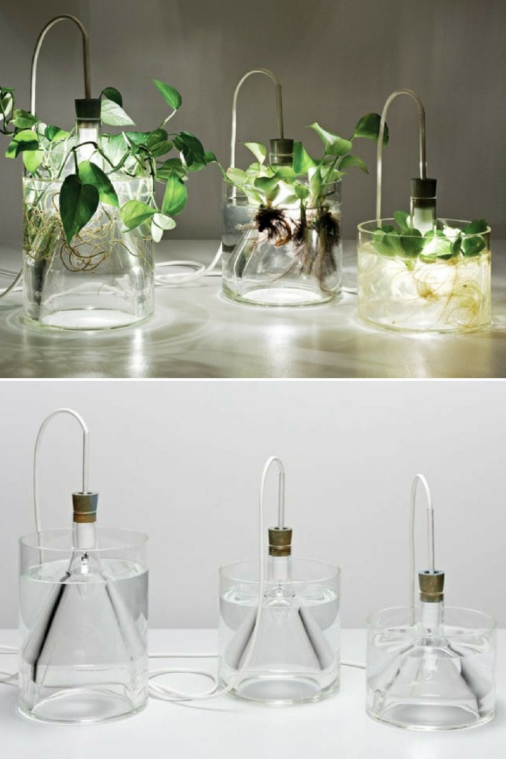 Mad Scientist Light Vegetal Kitchen Table Lamp