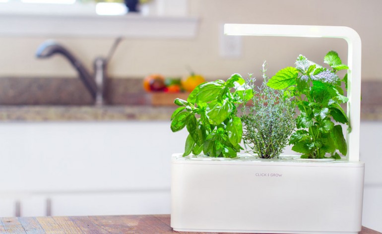 Smart-Herb-Garden_Kitchen