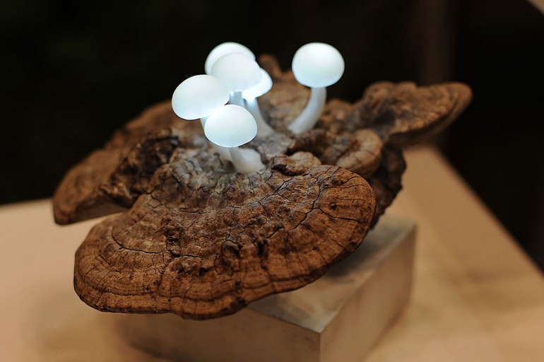 Mushroom Lamp1