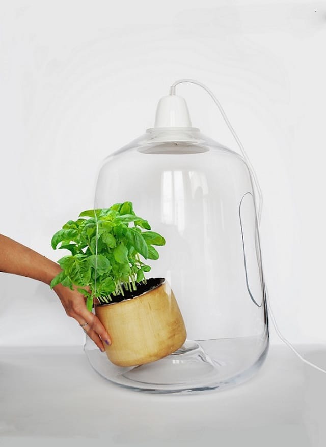 Vegetal Milo Plant Lamp