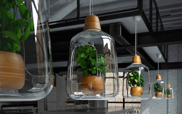 Vegetal Milo Plant Lamp