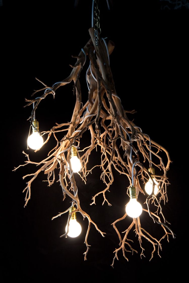 Wood Tree Branch Sculptural Lighting