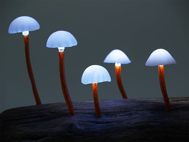 DIY Wood Forest Mushroom Lamp