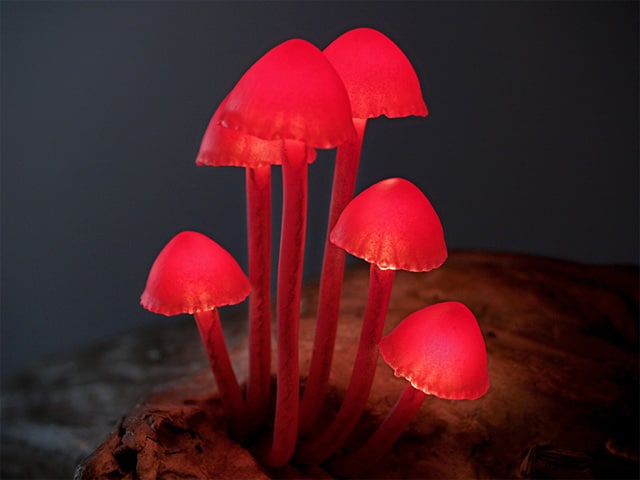 DIY Wood Forest Mushroom Lamp