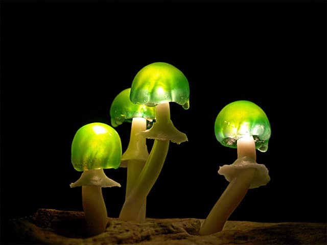 DIY Wood Forest Mushroom Lamp