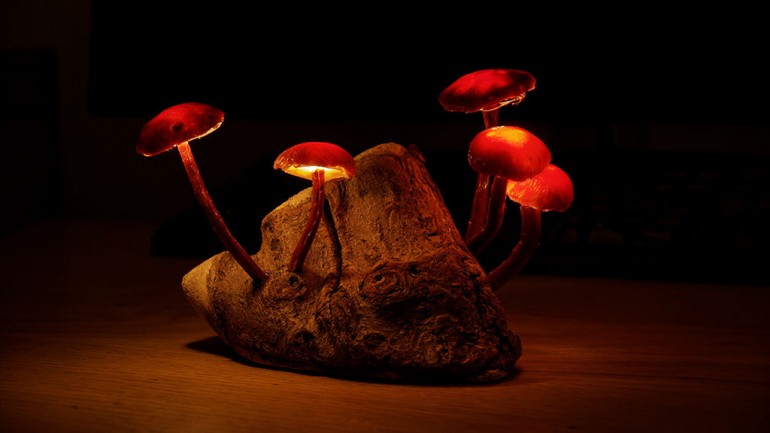 Forest Mushroom Lights