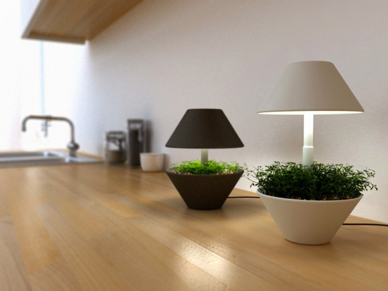 Lightpot: Lighting and Plants Symbiosis