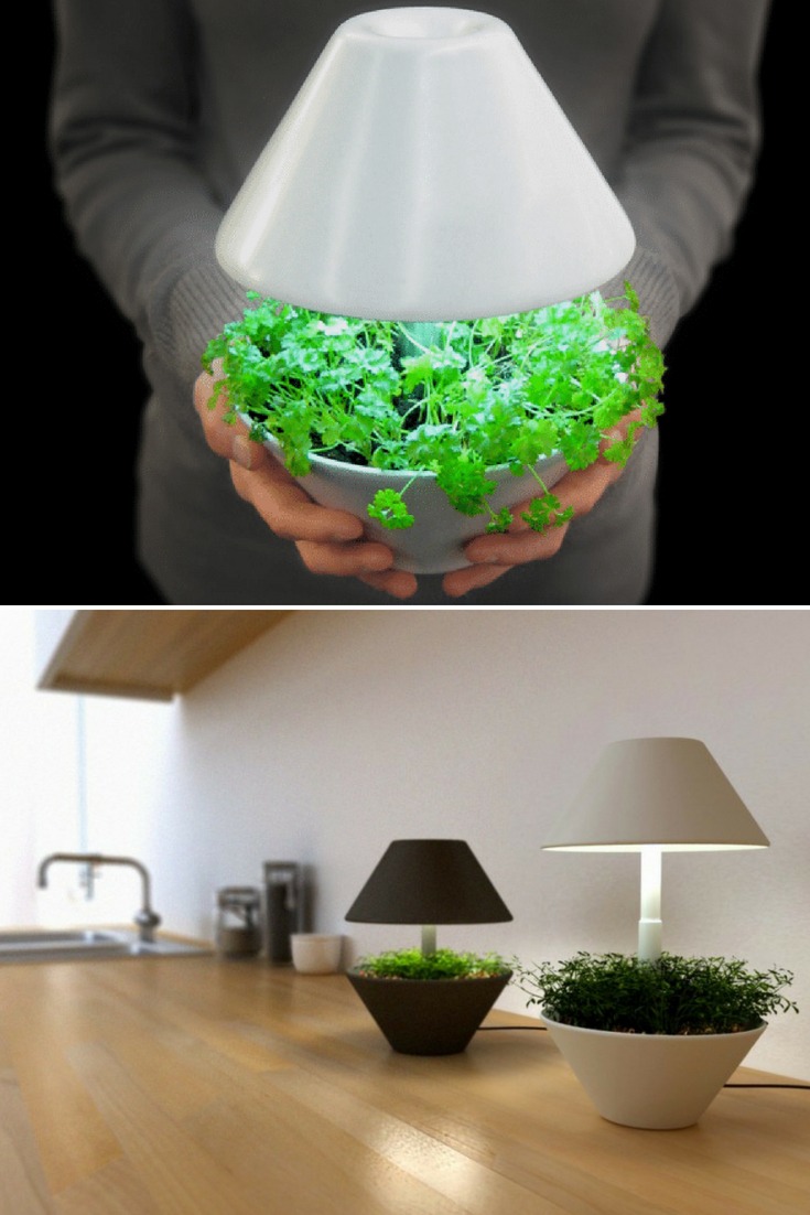 Lightpot: Lighting and Plants Symbiosis Table Lamp