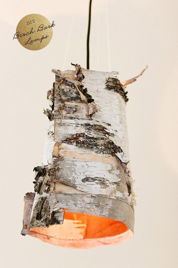 DIY Birch Bark Lamps