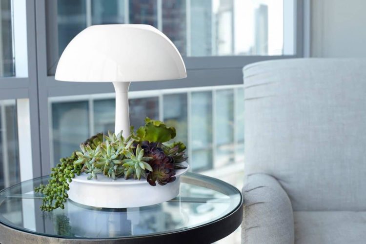 Ambienta Vegetal Lamp2