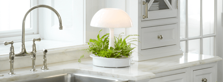 Ambienta Vegetal Lamp3