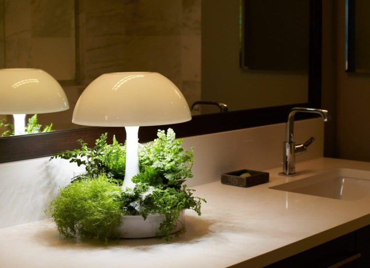 Ambienta Vegetal Lamp