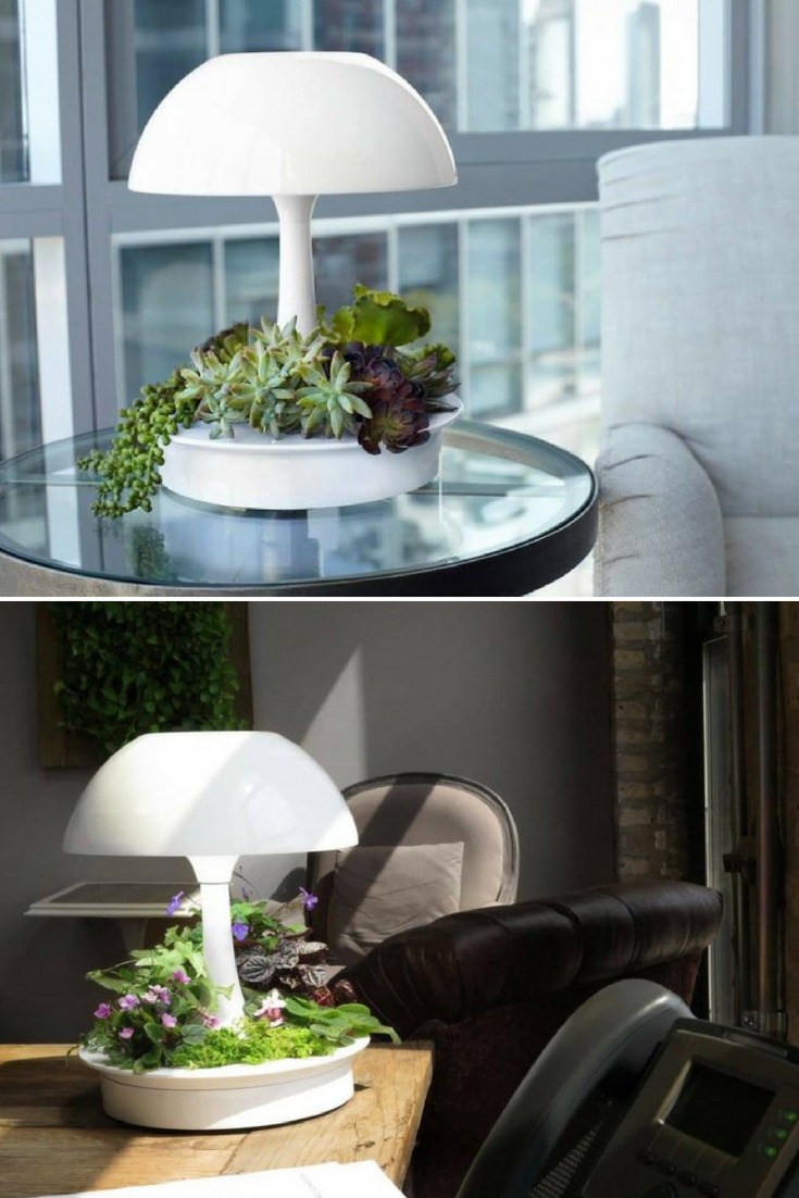 Ambienta Vegetal Table Lamp