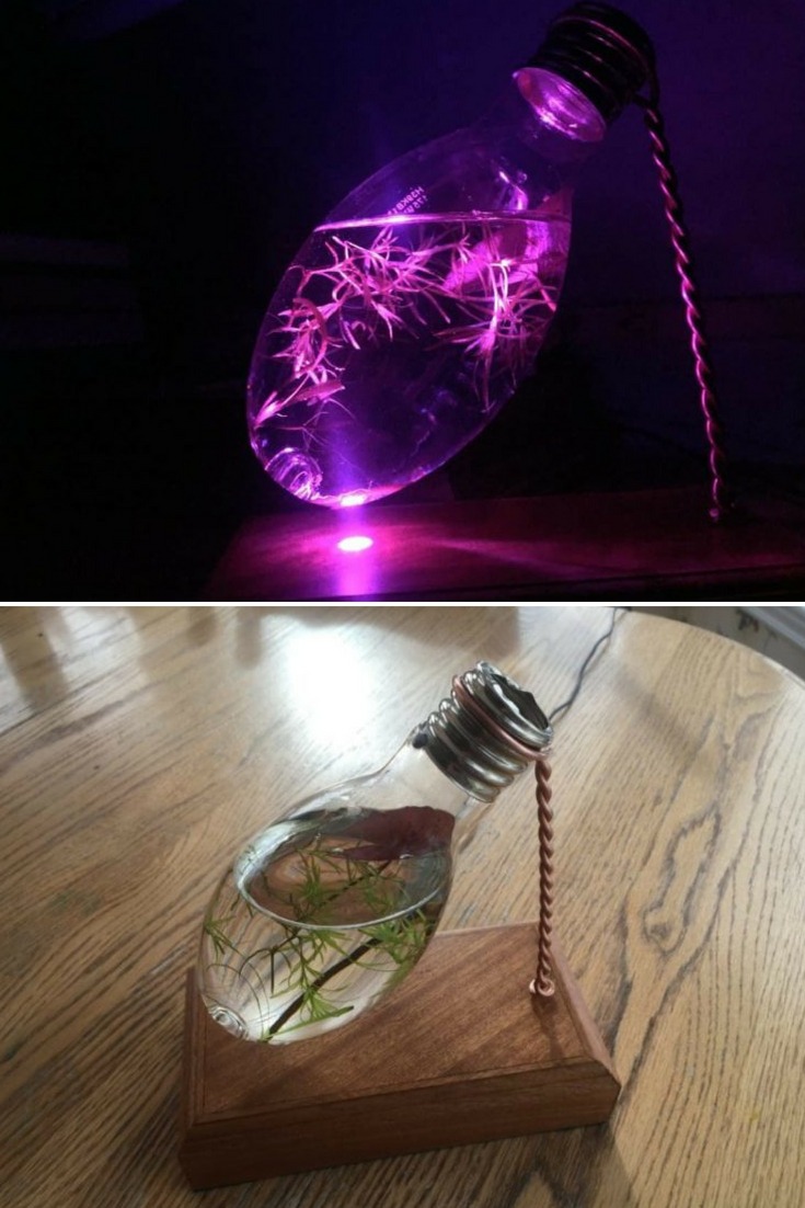 Light Bulb Aquarium Night Light Table Lamp