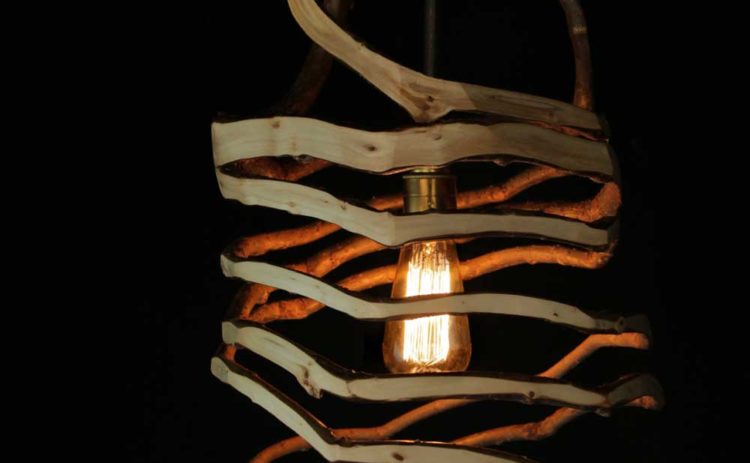 The Man Who Grows Natural Lamps