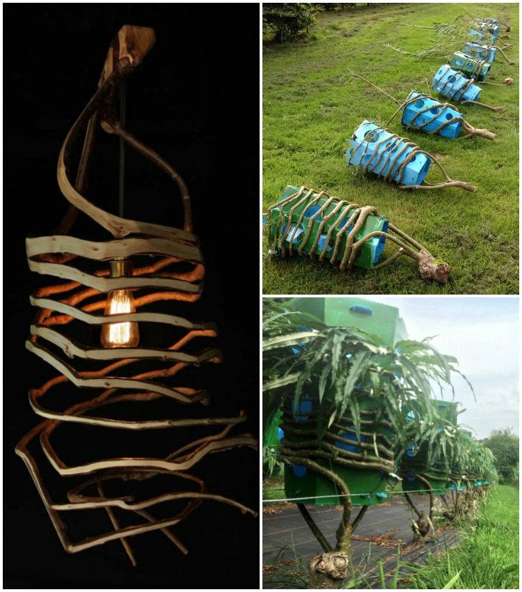 The Man Who Grows Natural Lamps