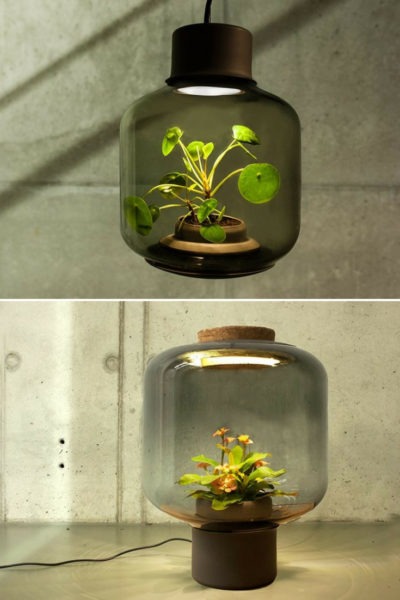 How to Grow Plants in Windowless Spaces with Pendant Lighting