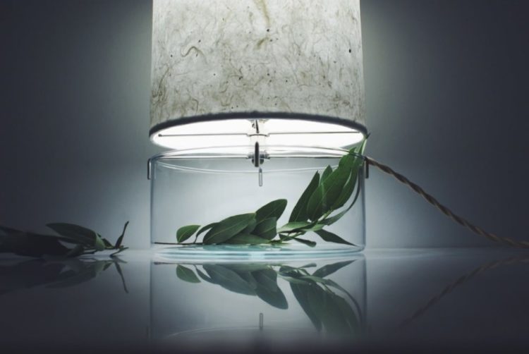 Handmade Terrarium Paper Table Lamp