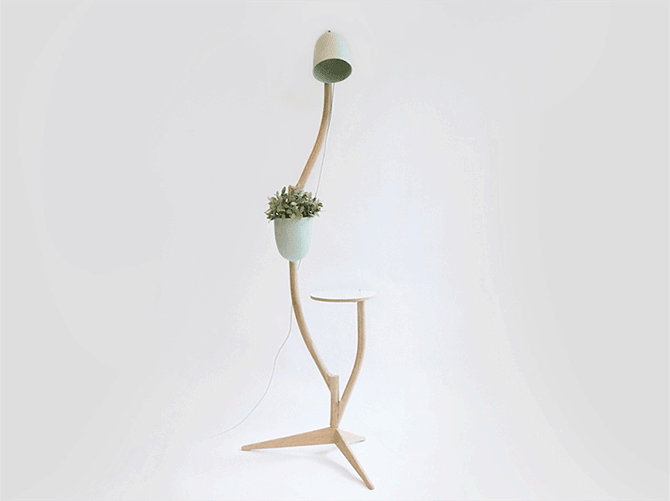 Multi Purpose Branch Out: Table, Flower Pot and Floor Lamp In One