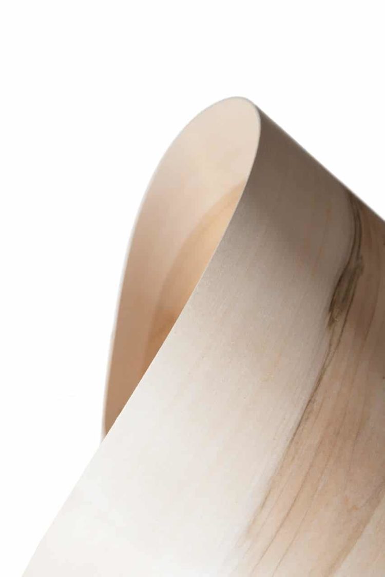 Wood Table Lamp Inspired by Natural Organic Shapes