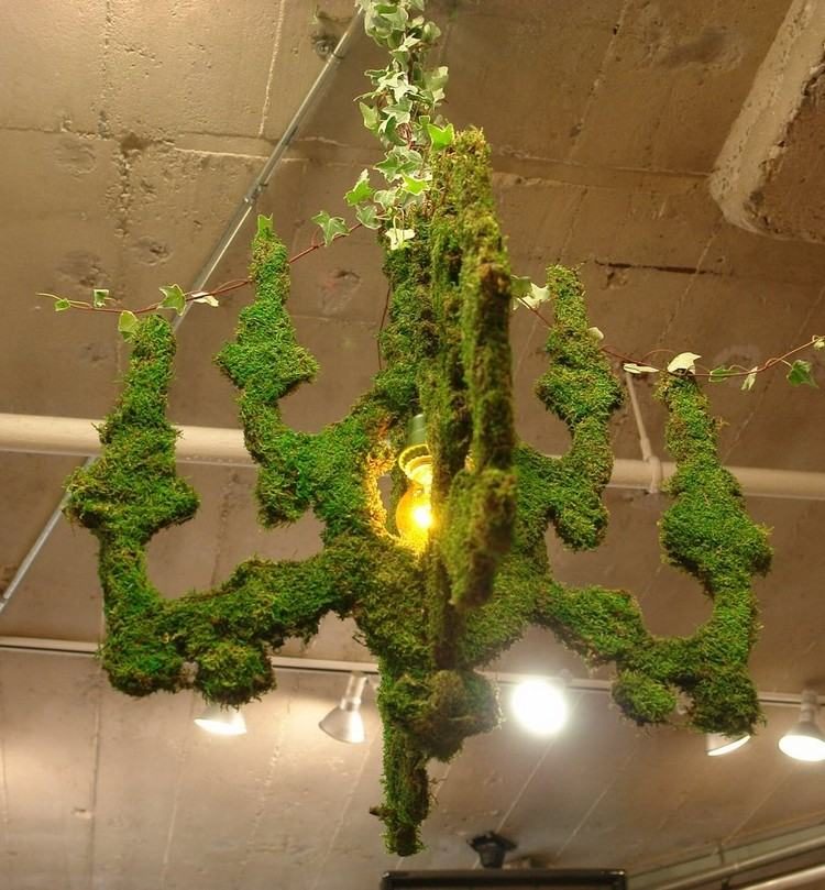 Artistic Chandelier Dressed in Vegetable Moss