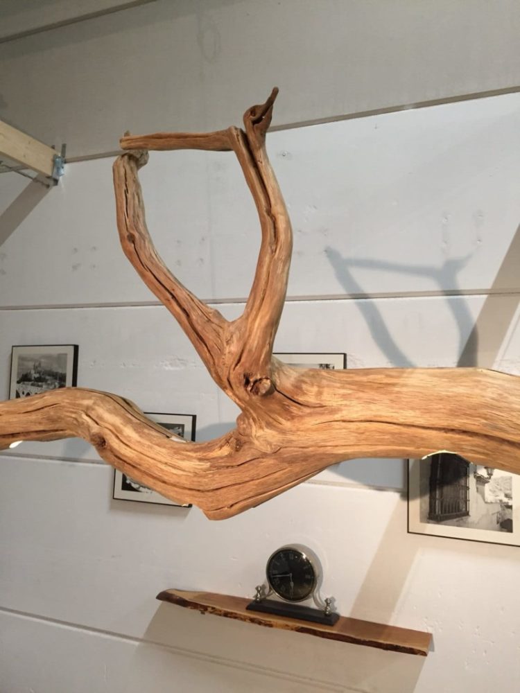 Old Oak Tree LED Ceiling Lamp