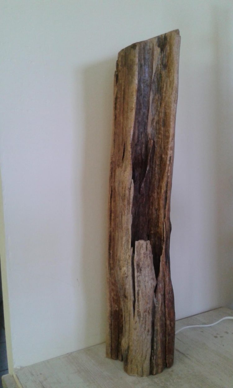 Simple Driftwood Stump Lamp
