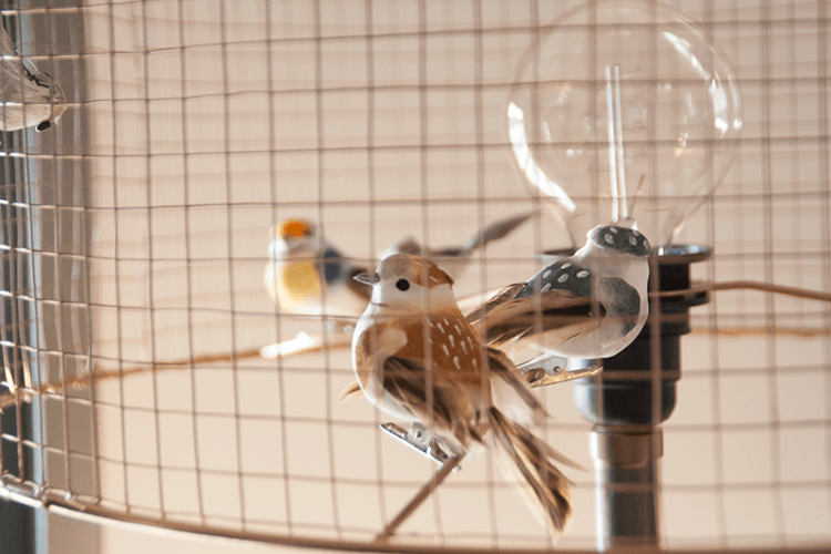 DIY Bird Cage Lamp