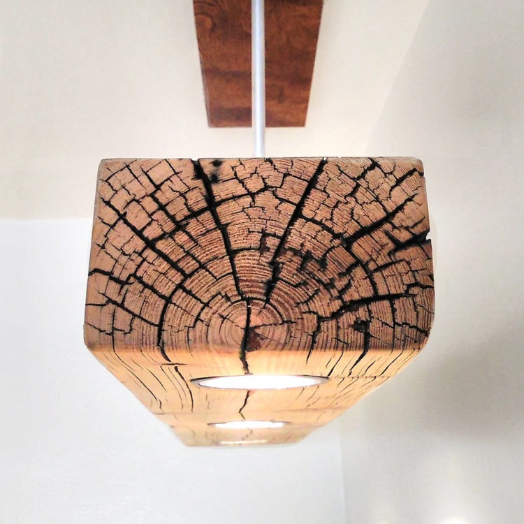 Reclaimed Wood Beam Spot LED Light Fixture