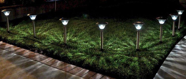 Best outdoor solar lights