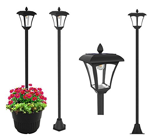 Best outdoor solar lights