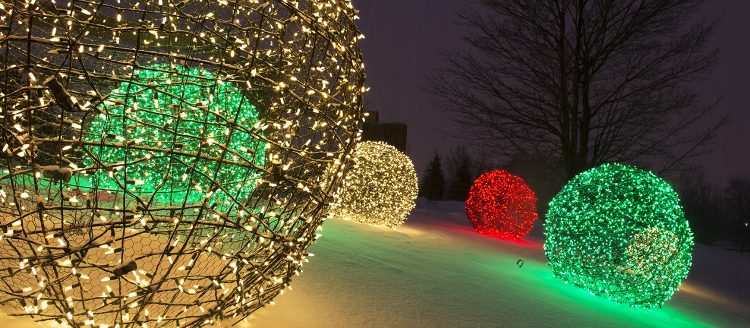 Outdoor Christmas Decorations Lights
