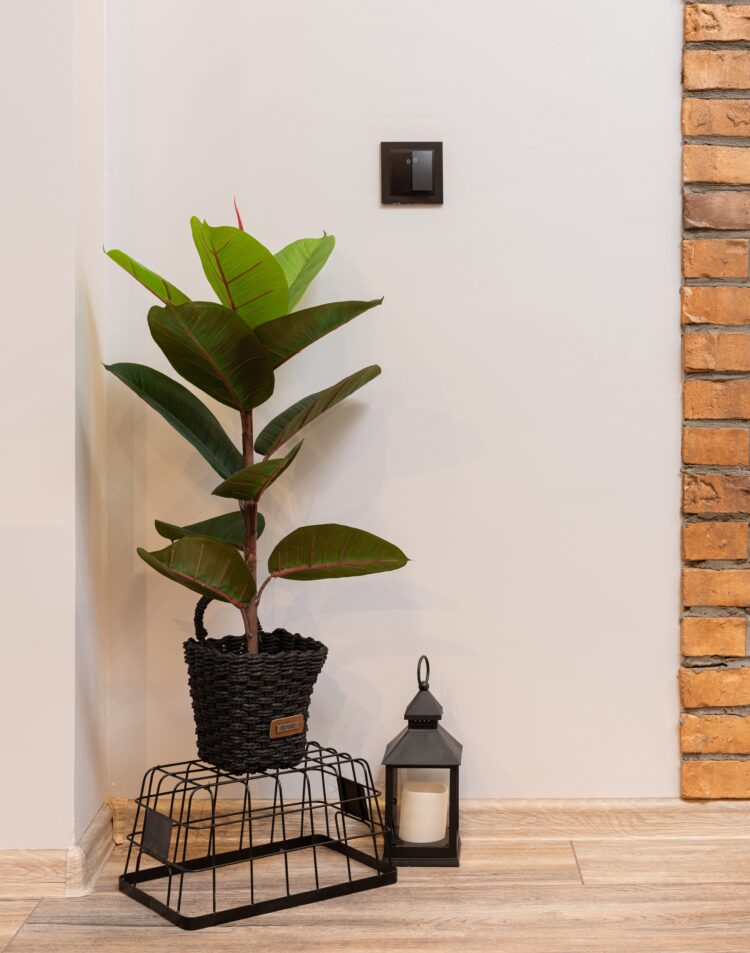 How Your Home Impacts Your Health