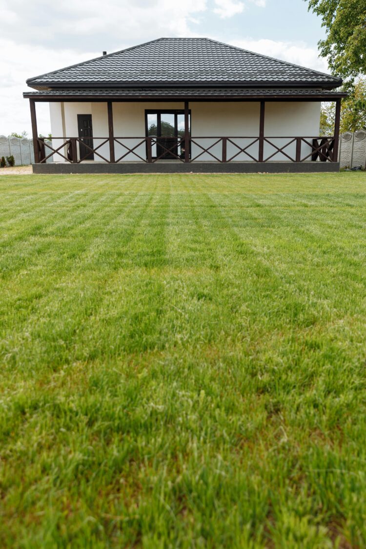 Lawn Disease Features and How To Treat Them 1 - Home improvement - iD Lights